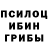 Галлюциногенные грибы Psilocybine cubensis TheSwift56