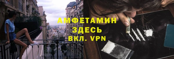 индика Армянск