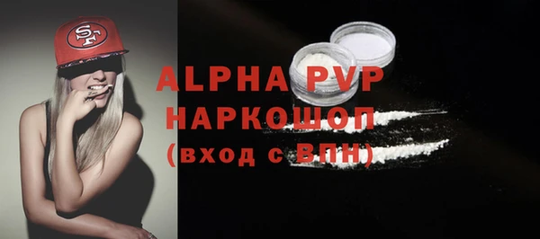 сатива Аркадак