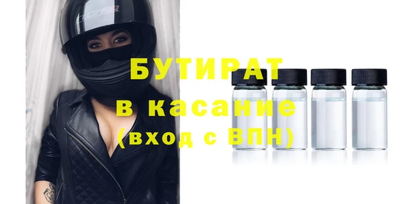 сатива Аркадак