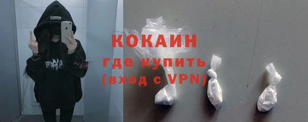 индика Армянск
