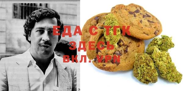 индика Армянск