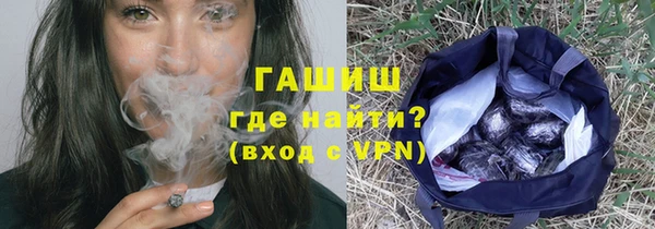 сатива Аркадак