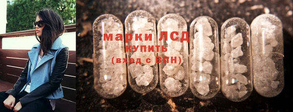 индика Армянск