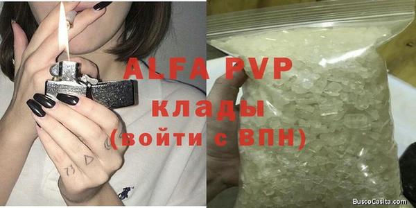 сатива Аркадак