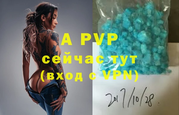 сатива Аркадак