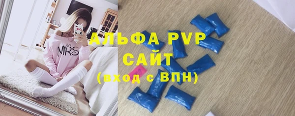сатива Аркадак
