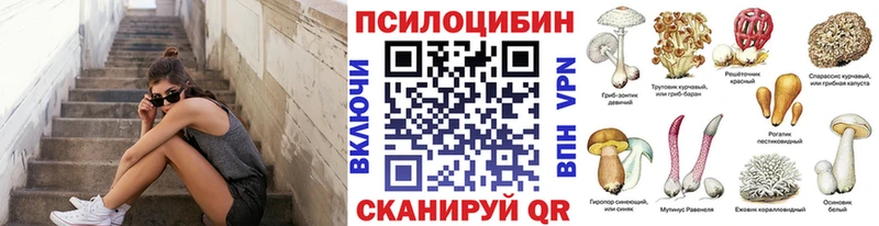 Псилоцибиновые грибы Magic Shrooms  дарнет шоп  Салехард 